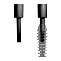 2.0mm Inserter Plug and Implant 1c