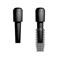 2.5mm Inserter Plug and Implant 1a