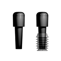 3.0 mm Inserter Plug and Implant 1b