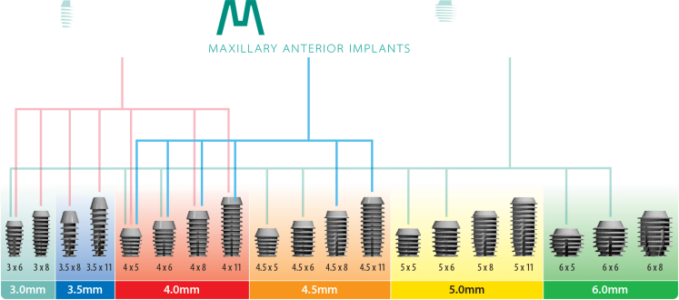 MAX Graphic DM 1a